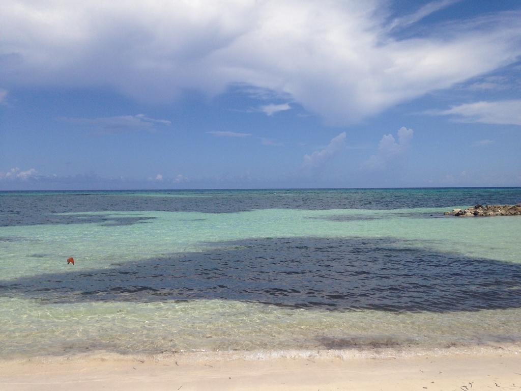 Seacastles By The Beach/Pool Montego Bay Exterior foto